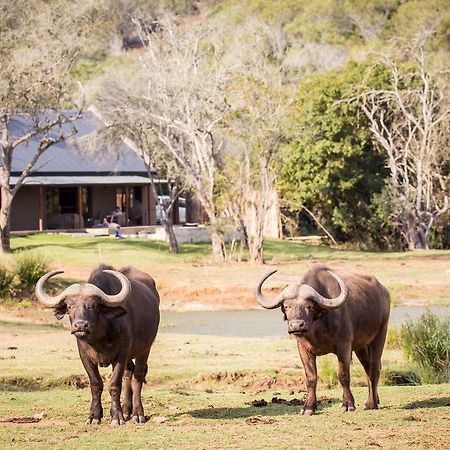 Botlierskop Bush Villas Sandhoogte Exterior foto