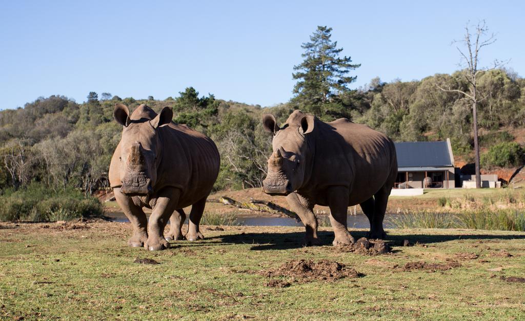 Botlierskop Bush Villas Sandhoogte Exterior foto